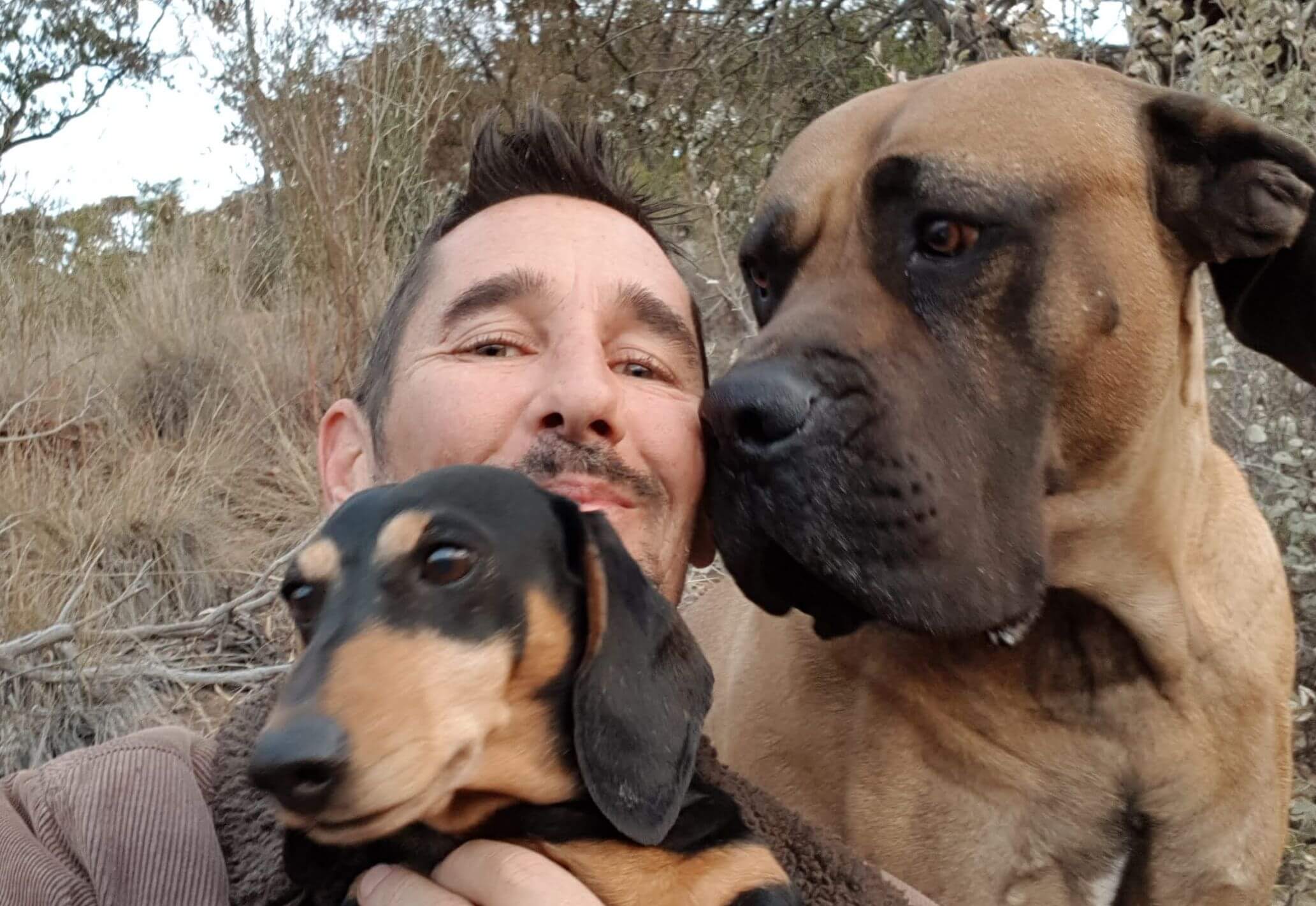 mindseed design Team